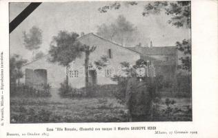 Verdi house of birth