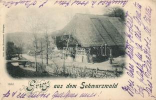 Schwarzwald cottage (EK)