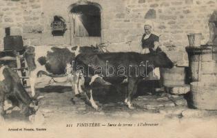 French farm, Finistére