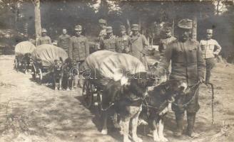 Military WWI K.u.K. army, Hungarian dog carriage ammunition supply unit photo (Rb)