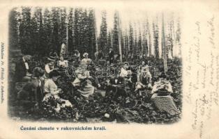 Rakovnicky kraj, cesaní chmele; Nakl. Fr. Prihody / Rakovník district, hop picking