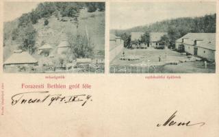 Forrásfalva (Forazesti) lime works and cheese manufacture