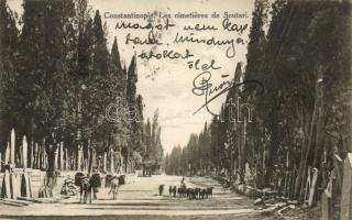 Constantinople Scutari cemetery