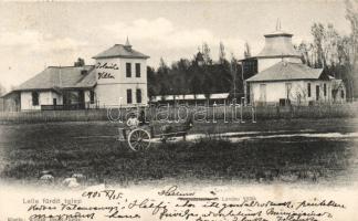 Balatonlelle Halmos és Landau villák