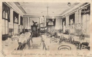 Lázne Tousen restaurant interior (cut)