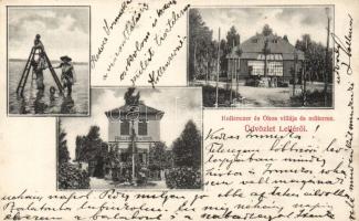 Balatonlelle Hollenzer és Okos villák és műtermek