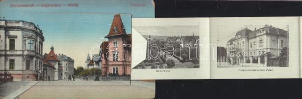 Nagyszeben with leporello