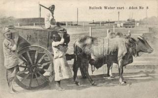 Bullock water cart, Aden