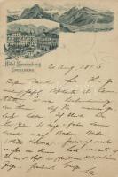 1896 Engelberg Hotel (EK)
