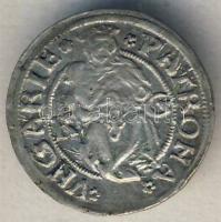 II. Ulászló 1512. Dénár Ag (ÉH.646c) T:2/2-