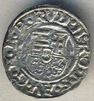 Rudolf 1584. Dénár Ag (ÉH.811a) T:2/3+