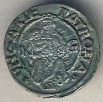 II. Ulászló 1515. Dénár Ag (ÉH.646c) T:2