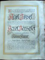 1905 Címereslevél Aczél de Kemencze József kemencei földbirtokos, felesége Roheim Frida és gyermekei...