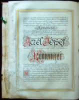 1905 Címereslevél Aczél de Kemencze József kemencei földbirtokos, felesége Roheim Frida és gyermekei...