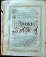 1905 Címereslevél Aczél de Kemencze József kemencei földbirtokos, felesége Roheim Frida és gyermekei...