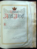 1905 Címereslevél Aczél de Kemencze József kemencei földbirtokos, felesége Roheim Frida és gyermekei...