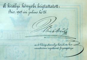 1905 Címereslevél Aczél de Kemencze József kemencei földbirtokos, felesége Roheim Frida és gyermekei...