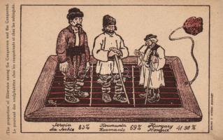 The proportion of illiterates among the conquerors and the conquered