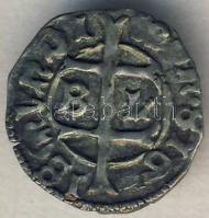 Zsigmond 1436. Dénár Ag (ÉH.450f) T:2