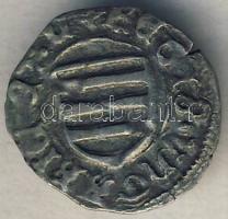 Zsigmond 1436. Dénár Ag (ÉH.450f) T:2