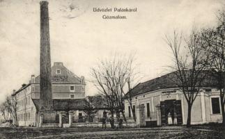 Palánka Steam mill