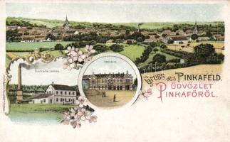 Pinkafő with electric plant Litho