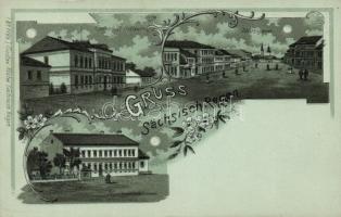 Szászrégen with schools Litho