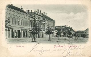 1899 Karlóca Zrínyi square, the shop of David Kramer