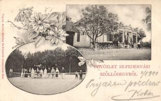 Székesfehérvár Szőllőshegy teniszpályával