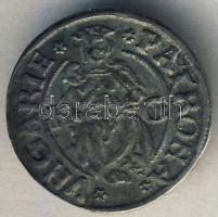 II. Ulászló 1510. Dénár Ag (ÉH.646c) T:2