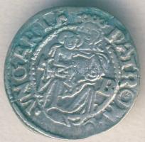 I. Ferdinánd 1549. Dénár Ag (ÉH.745a) T:2+/2