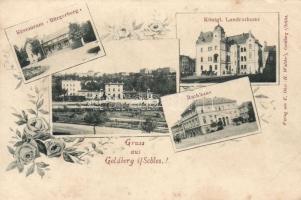 Zlotoryja (Goldberg) Railway station and restaurant