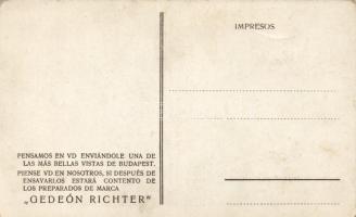 Budapest Erzsébet híd spanyol kiadás Richter reklámmal