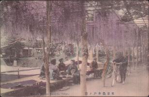 Tokyo Cherry blossom