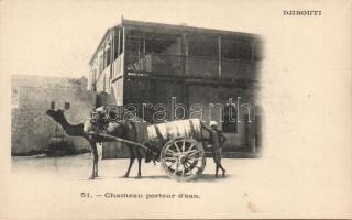Djibouti water cart