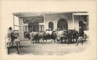 Djibouti the butchers´ shop of E. Combes