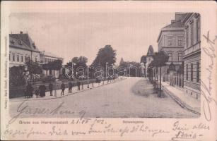 Nagyszeben Schewis street (EK)