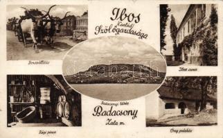 Badacsony Ibos szőlő-gazdaság