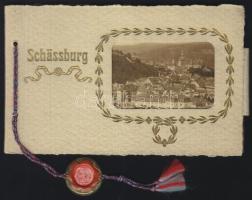 SEGESVÁR 11 lapos képeslapfüzet / Sigishoara 11 pages postcard booklet