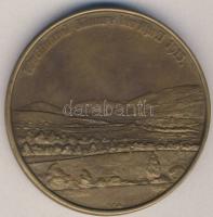 1916. Hermann Sallagar Br háborús emlékérem (d=65mm) T:2