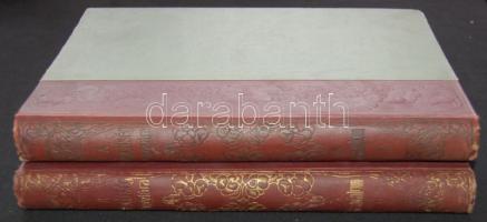 1910 Szerk: Stein Lajos: A műveltség könyvtára: A Társadalom I.-II. kötet, 707 oldal képekkel + térk...