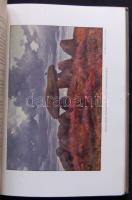 1910 Szerk: Stein Lajos: A műveltség könyvtára: A Társadalom I.-II. kötet, 707 oldal képekkel + térk...