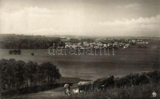 Hévízszentandrás (ragasztónyom)