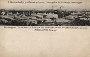 Mezőhegyes cukorgyár