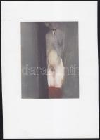 Jelzés nélküli Akt lithográfia 15x21 cm