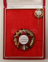 DN. "Kiváló Szövetkezeti Munkáért" kitüntetés kitűzővel, dísztokban T:1