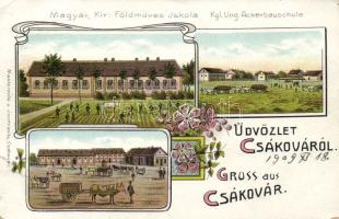 Csákova agricultural school litho (EB)