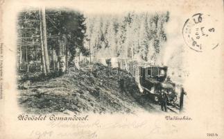 Komandó hunting forest, locomotive