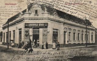 Mezőtelegd the ironware shop of Dávid Lindenfeld (fl)