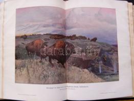 ~1900. Hans Kraemer: Weltall und Menschheit orvosi könyvsorozat 2. kötete német nyelven, Metzger $ W...